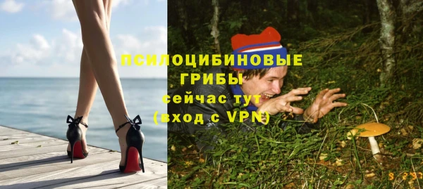 ПСИЛОЦИБИНОВЫЕ ГРИБЫ Алексеевка