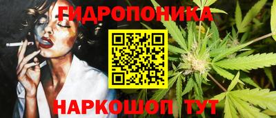 spice Пенза