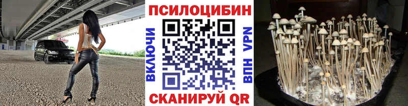 Галлюциногенные грибы Psilocybine cubensis  Серов 