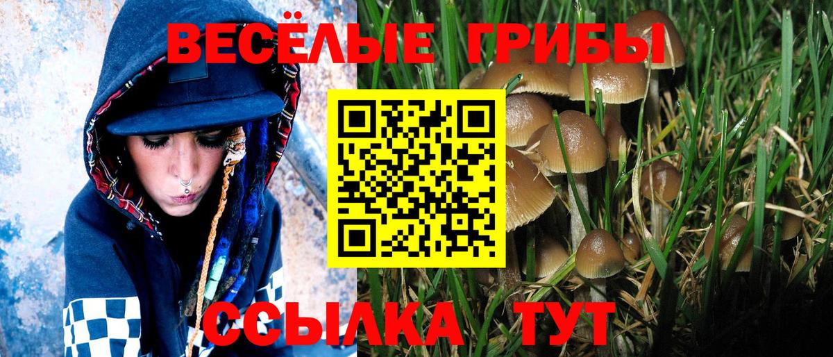 Псилоцибиновые грибы мухоморы Серов