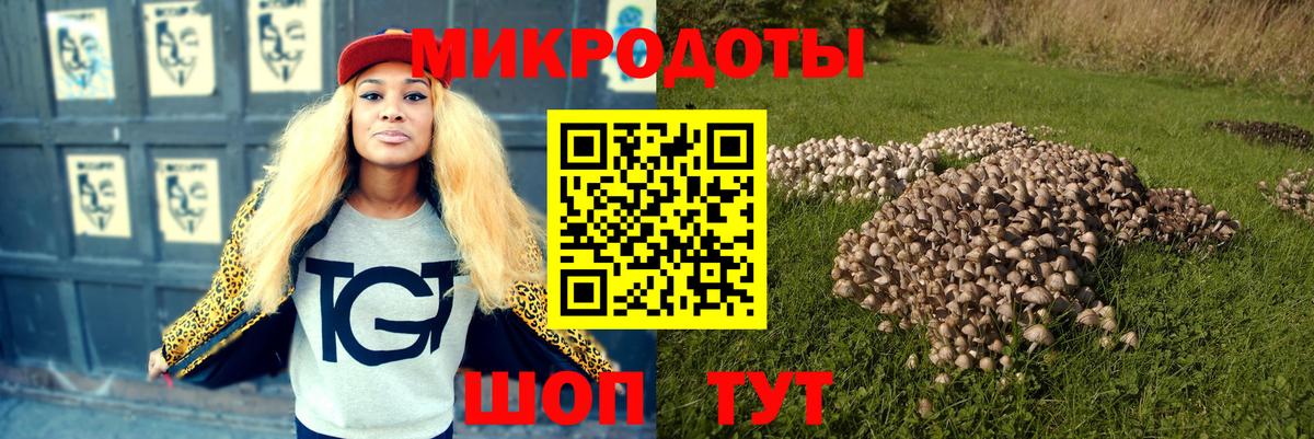 Галлюциногенные грибы Magic Shrooms  наркошоп  Серов  Вход с VPN 