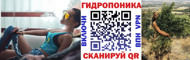 Каннабис сатива  mega рабочий сайт  Серов  как найти закладки 